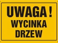 Zmiany przepisów w zakresie usuwania krzewów i zadrzewień